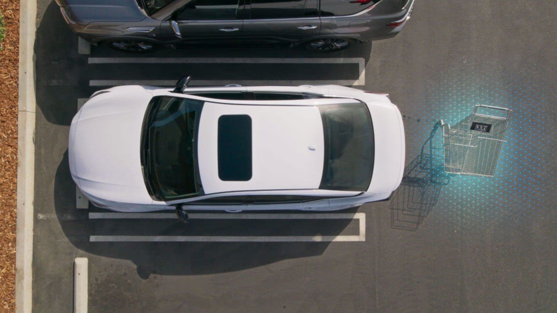 2026 Nissan Altima | Nissan of Elgin in Elgin, IL